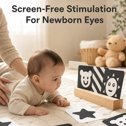 curioSprout Baby-to-Toddler Flash Card Bundle