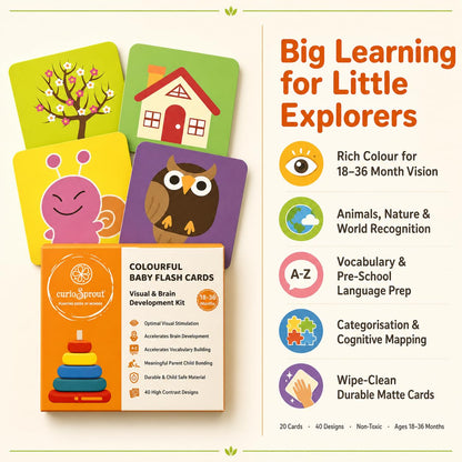 curioSprout Baby-to-Toddler Flash Card Bundle