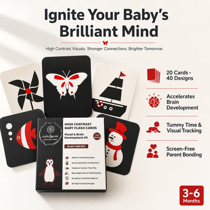 curioSprout Baby-to-Toddler Flash Card Bundle