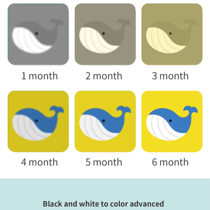 curioSprout Baby Flash Cards | 0-3 Years